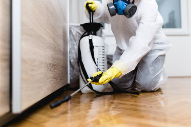 Best Residential Pest Control  in Shelton, CT