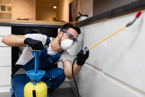 Best Pest Prevention Services  in Shelton, CT