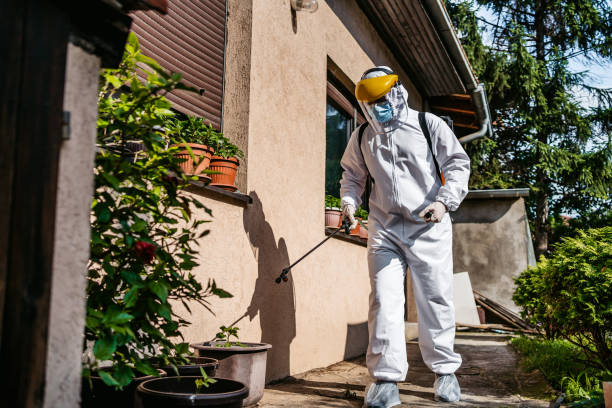 Best Flea Control Services  in Shelton, CT