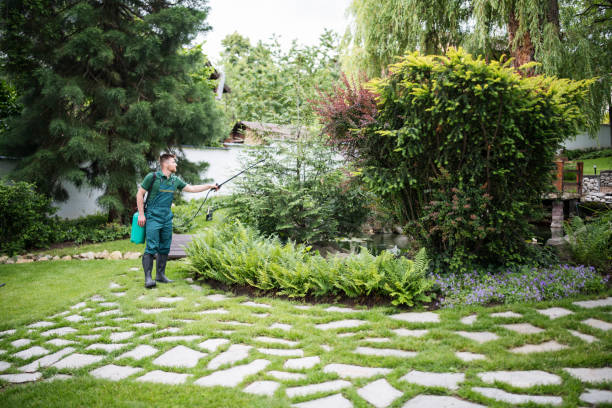 Best Affordable Pest Control Services  in Shelton, CT
