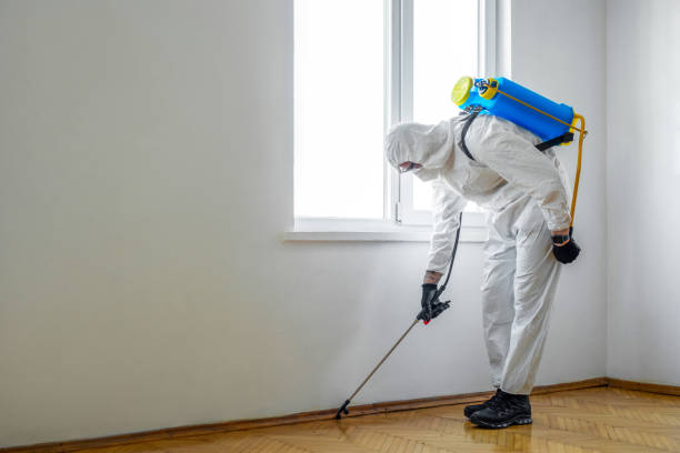 Shelton, CT Pest Control Company