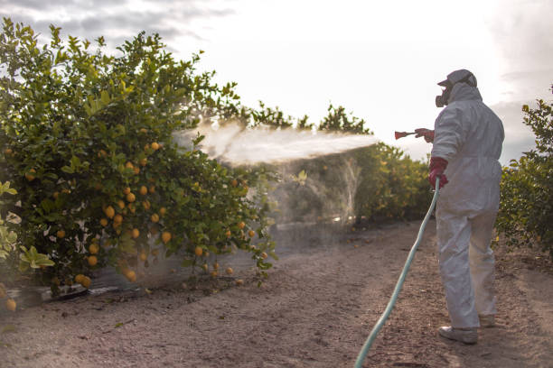 Best Mosquito Control Services  in Shelton, CT