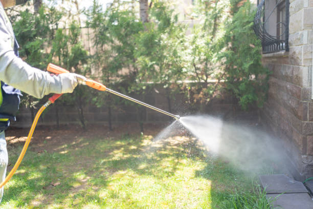 Best Bed Bug Extermination  in Shelton, CT