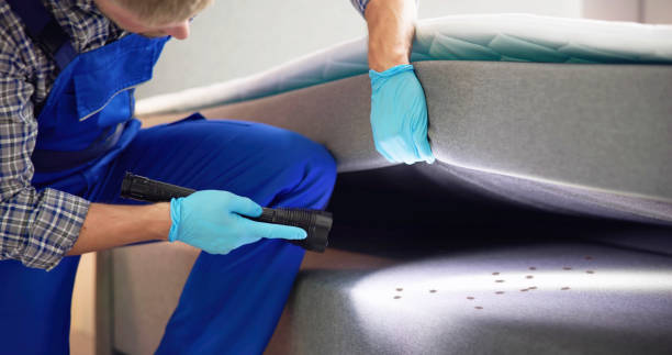 Best Cockroach Control Services  in Shelton, CT